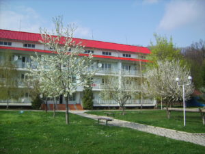 DIGITAL CAMERA